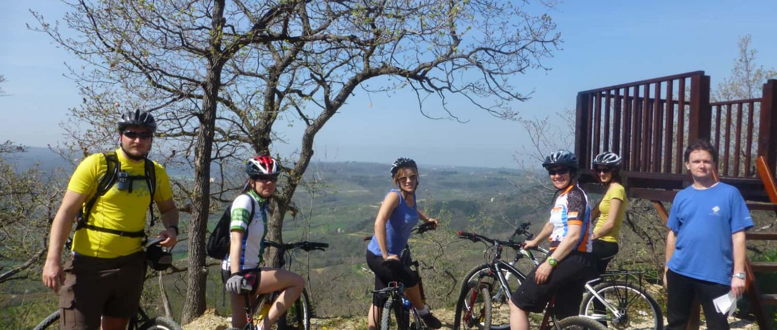 Group Biking Tour Stopped at Trail