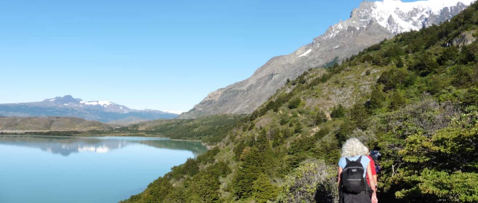 Traveler on hiking route of Torre del Paine national park