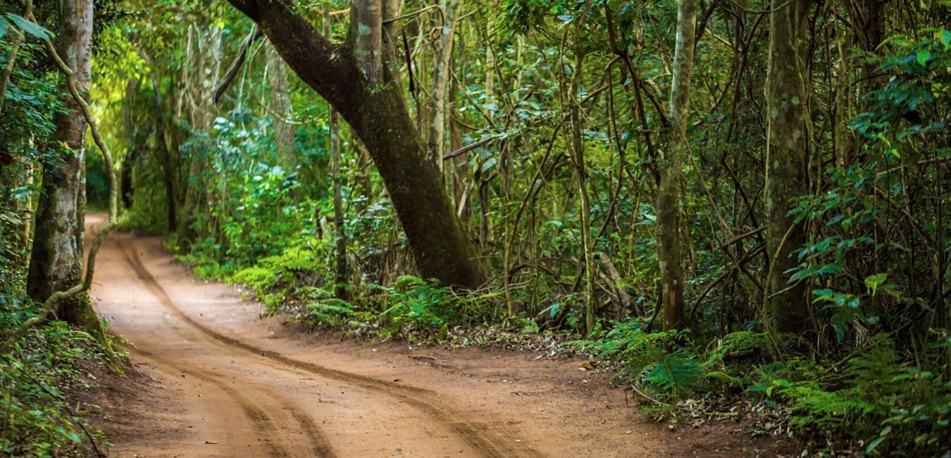 Argentinas Iguazu Biking And Jungle Tour Bikehike Adventures