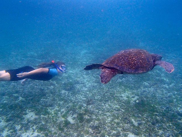 galapagos bikehike easy adventure tour