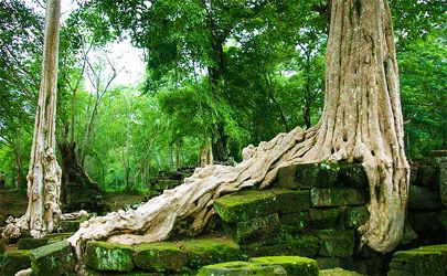 Cambodia BikeHike