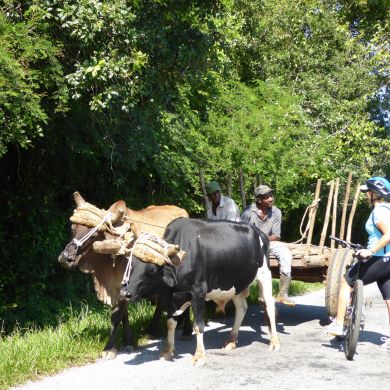 Best Cycling tour in Cuba | BikeHike Adventures