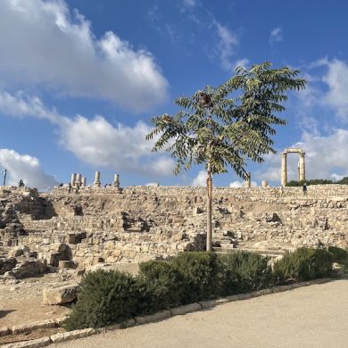 Amman citadel