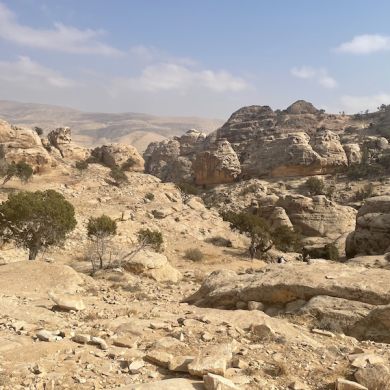 hiking in thr dana reserve