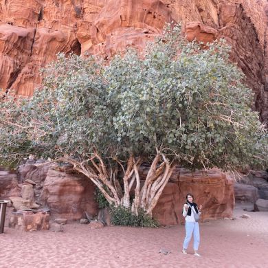 Wadi Rum Desert Tours